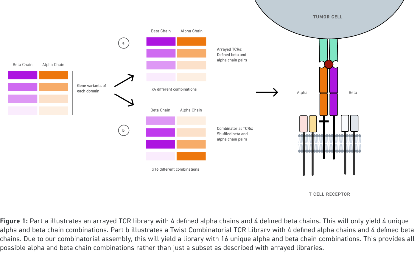 TCR Libraries - Twist Bioscience